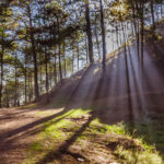 things to do in Baguio for nature lovers