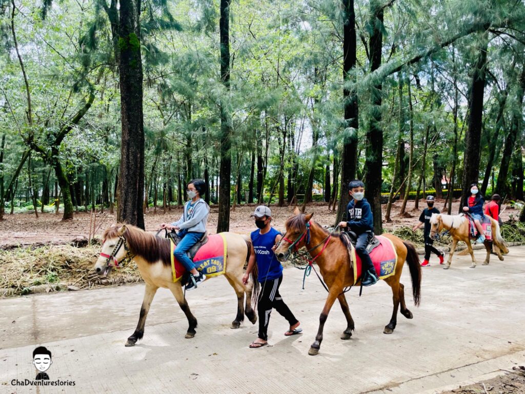 Best Summer Activities to do in Baguio