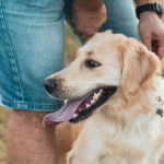 pet-friendly spots in baguio city