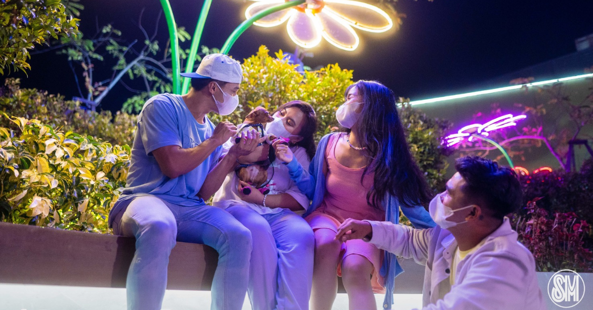 8 Purrfect PetFriendly Spots Around Baguio City El Retiro