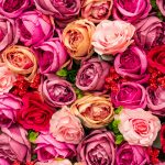 The Most Romantic Spots in Baguio for Couples In 2024