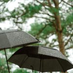 Photo credits: Two Six Hundred Stories